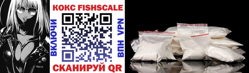 COCAIN Fish Scale  Купить закладки  Кяхта 