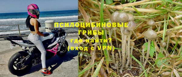 PSILOCYBIN Богородск