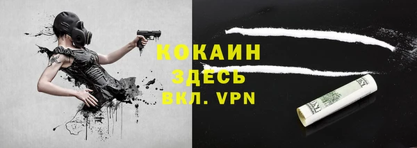 PSILOCYBIN Богородск