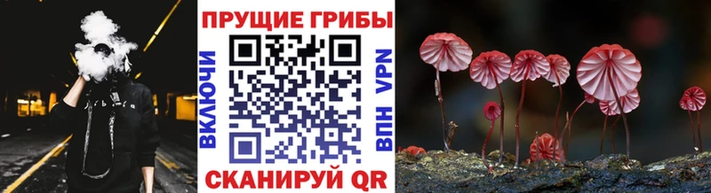Псилоцибиновые грибы Psilocybe  Купить  Кяхта 